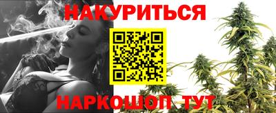 гашик Гусь-Хрустальный