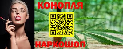 гашик Гусь-Хрустальный
