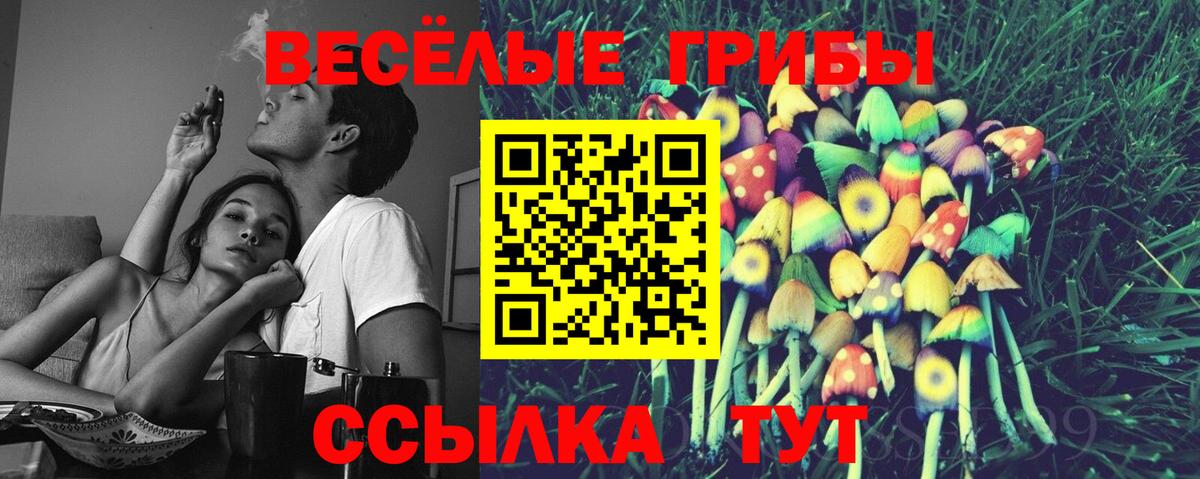 Псилоцибиновые грибы Psilocybine cubensis Назарово